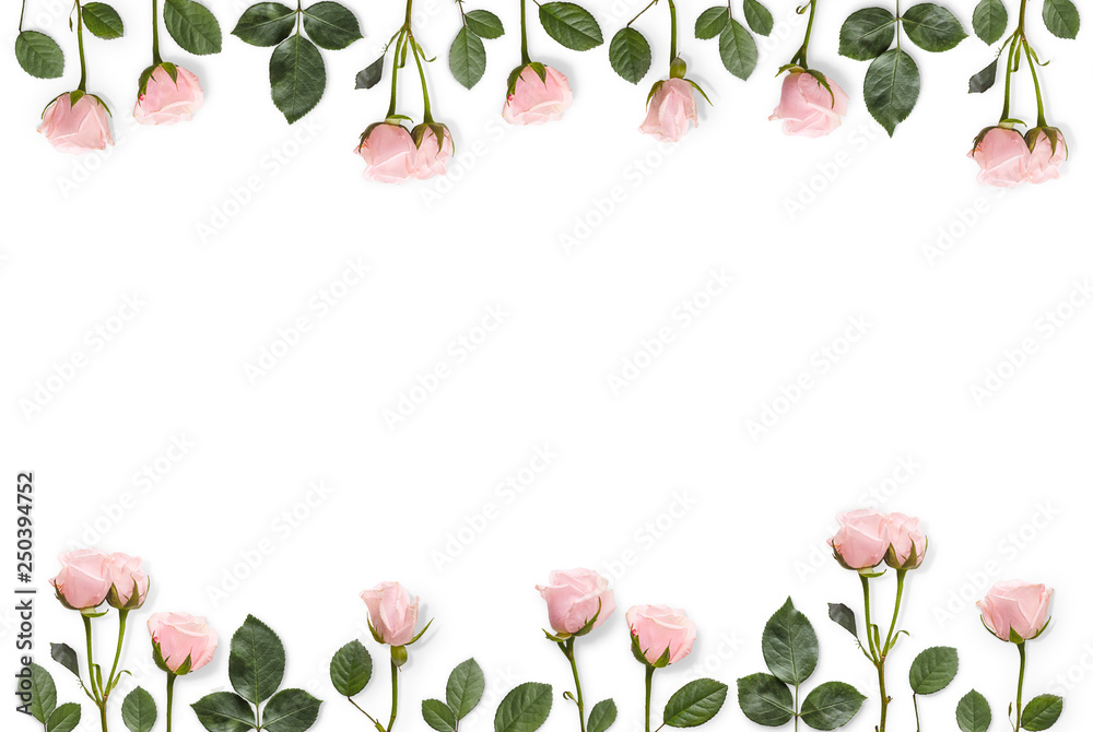 Composition from flowers. Frame of pink roses on a white background. Flat lay, Top view.