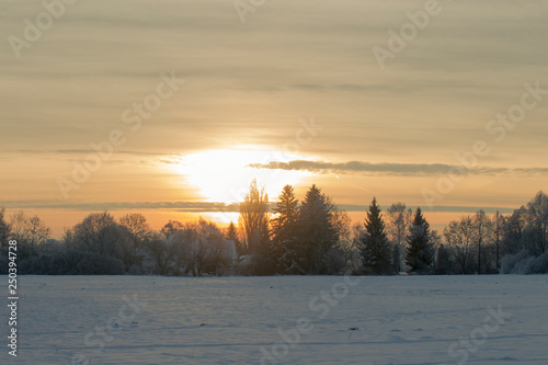 Sunrise over a farm hiding in a grove of trees behind a snowy meadow