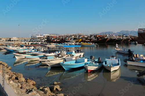 Boats in Dibba Al-Baya harbour  Sultanate of Oman