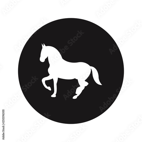 Horse vector icon