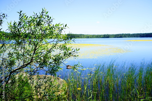 lake asnen, sweden photo