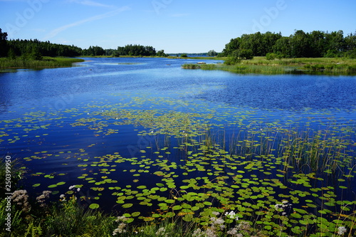 lake asnen, sweden photo