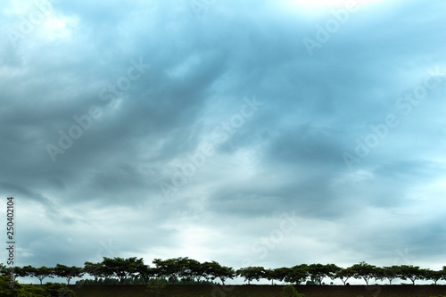 rodape de arvores e horizonte 