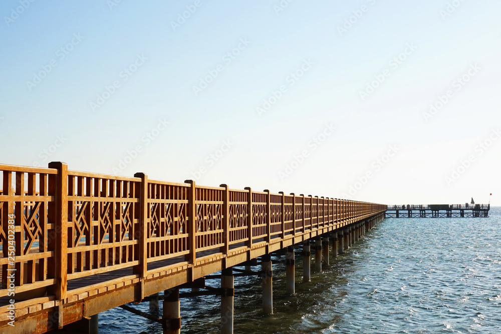 Obraz premium mole in the egypt sea