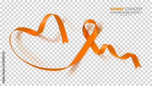 National Kidney Cancer Awareness Month. Orange Color Ribbon Isolated On Transparent Background. Vector Design Template For Poster.