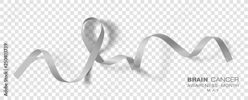 Brain Cancer Awareness Month. Grey Color Ribbon Isolated On Transparent Background. Vector Design Template For Poster.