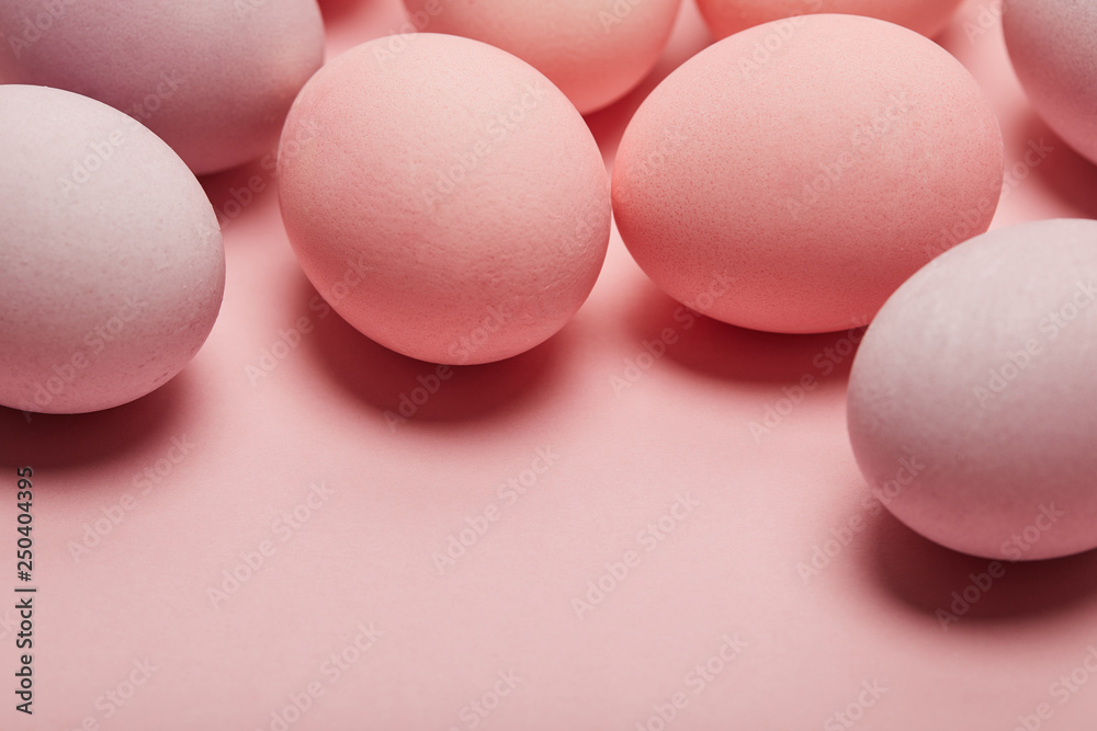 chicken easter eggs on pink background with copy space chicken easter eggs on pink background with copy space