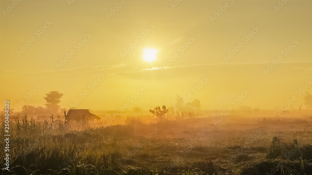 alone hut in rice fields, view misty morning sunrise at rice fields with yellow sun light in the sky background, scenic rural at Doi Nang Non, Mae Sai District, Chiang Rai, northern of Thailand.