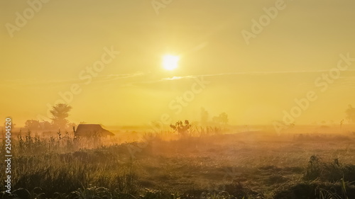 alone hut in rice fields  view misty morning sunrise at rice fields with yellow sun light in the sky background  scenic rural at Doi Nang Non  Mae Sai District  Chiang Rai  northern of Thailand.