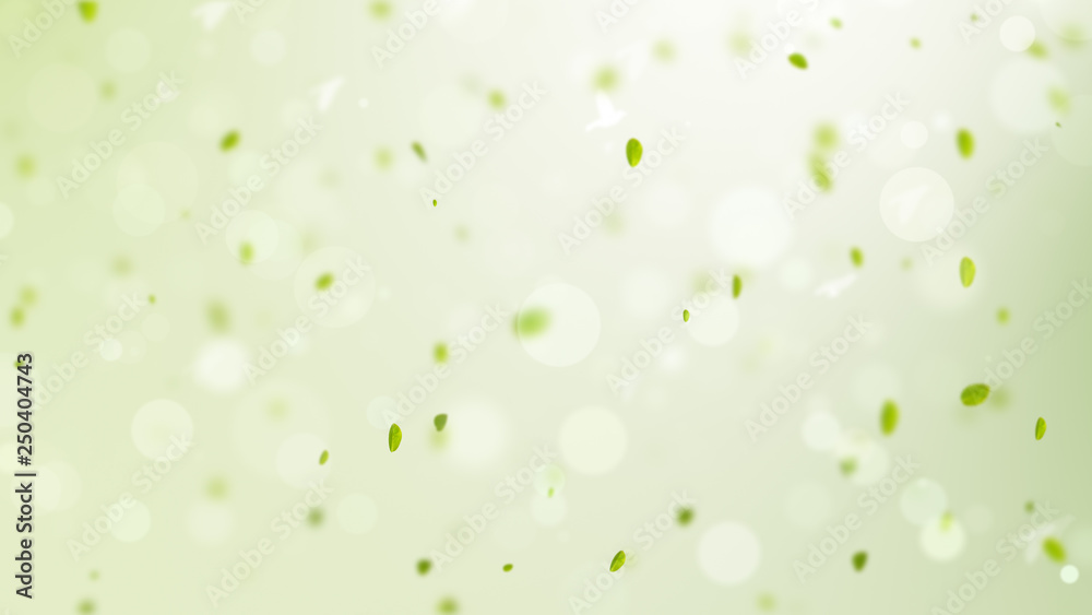spring background, spring background illustration with green leaves, bokeh, petals and birds