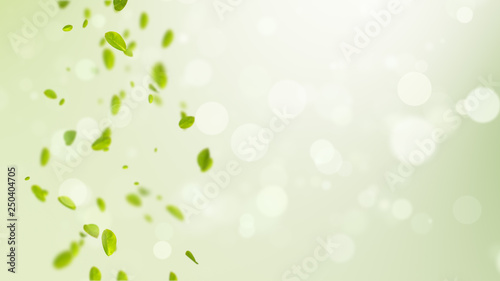 spring background, spring background illustration with green leaves, bokeh, petals and birds