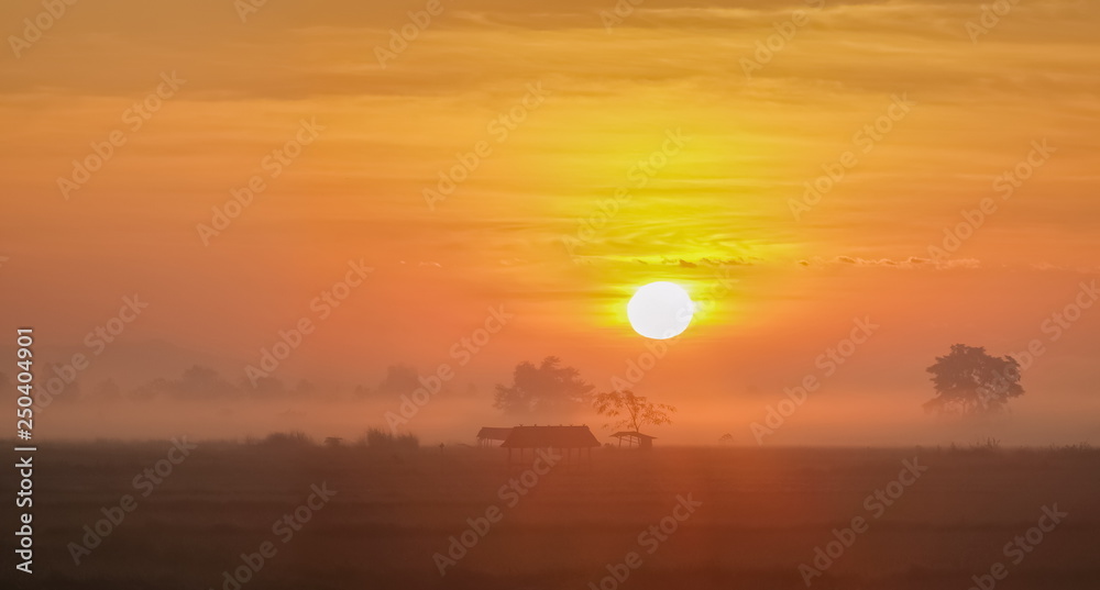 alone hut in rice fields, view misty morning sunrise at rice fields with yellow sun light in the sky background, scenic rural at Doi Nang Non, Mae Sai District, Chiang Rai, northern of Thailand.