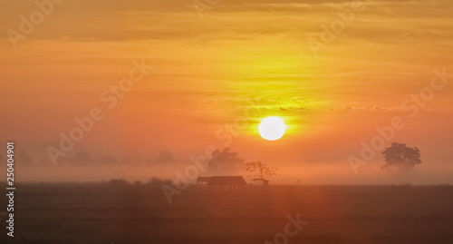 alone hut in rice fields  view misty morning sunrise at rice fields with yellow sun light in the sky background  scenic rural at Doi Nang Non  Mae Sai District  Chiang Rai  northern of Thailand.