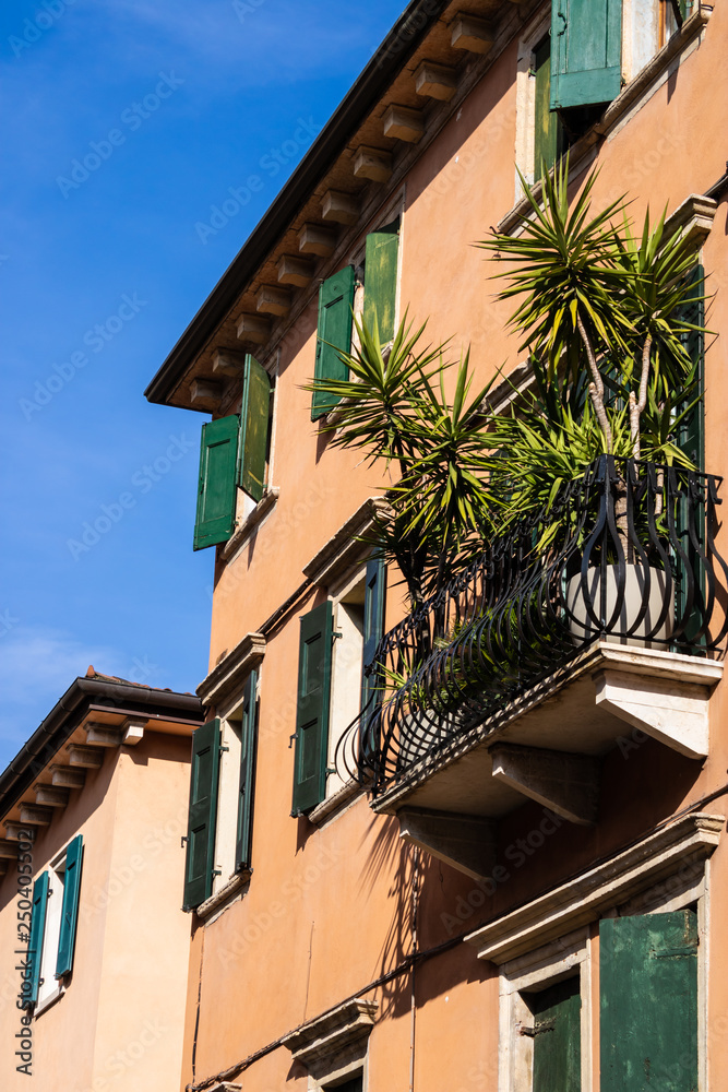 Italian style house with the green windowframes and the palm on the balcony, Verona, Italy - Image
