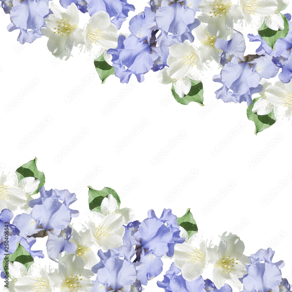 Beautiful floral background of irises and Jasmine