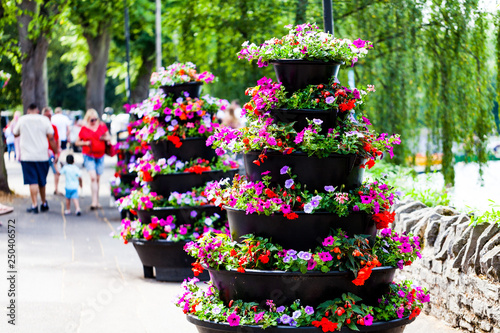 Beautiful flowers decoration on the street. Colorful flower arrangements on the sidewalk photo