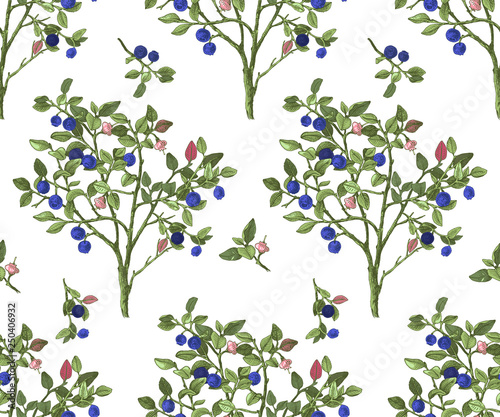 Seamless pattrn with blueberry bushes