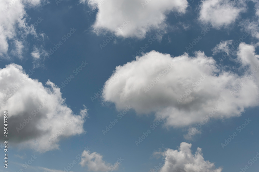 Obraz premium cuckooclouds