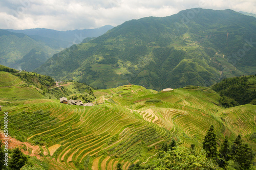 Longsheng rice terraces landscape in China © Juhku
