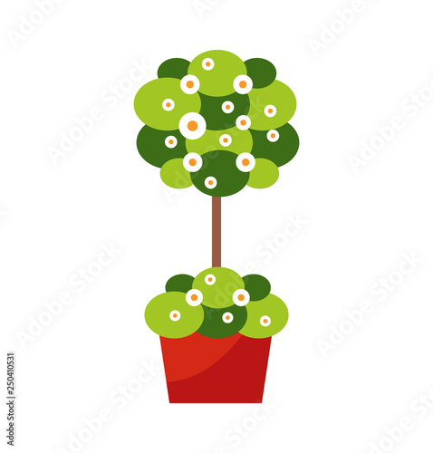 Exterior design decoration outdoor plant in pot vector. Flower or blooming bush, greenery and vegetation, floral decor, botanical element isolated object