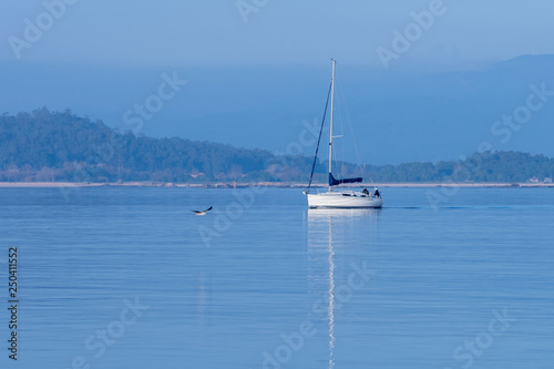 morning seascape with sailing yacht