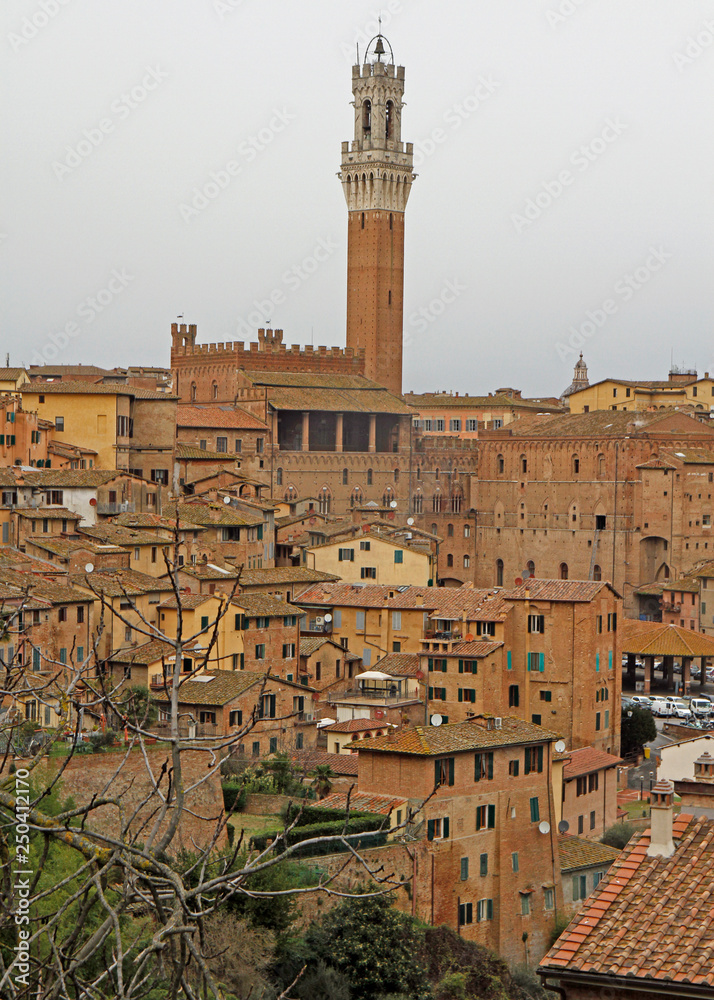 the cityscape of italian city Siena in Toscana