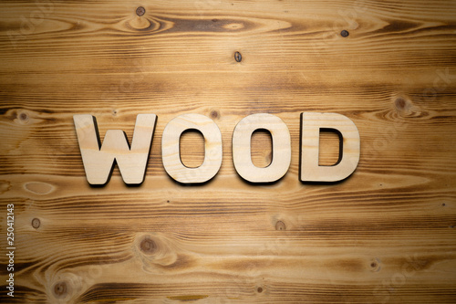 WOOD word made with building blocks on wooden board.