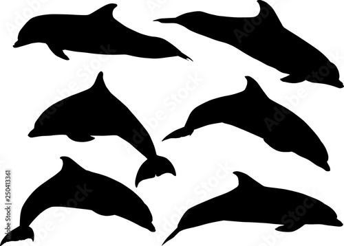 six black silhouettes of dolphins isolated on white