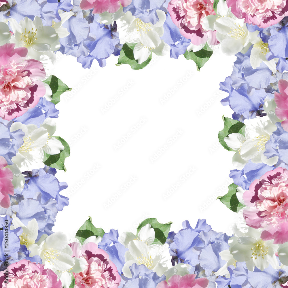 Beautiful floral background of irises, peonies and Jasmine