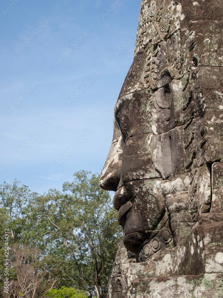 Anchor wat in cambodia