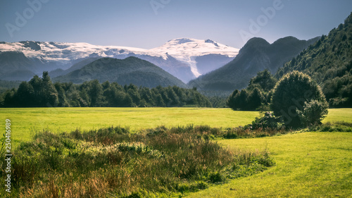 Pumalin Natural Park on the Carretera Austral in Chile's Patagonia, glaciers and forests