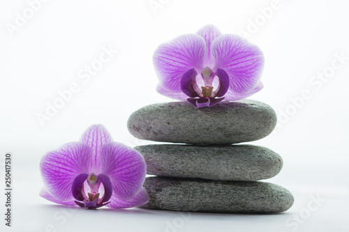 Pile of three grey roundstones with an orchid blossom on top and next to it