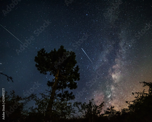Silhouette of a pine tree on the background of the starry sky, the Milky Way and falling meteorites.