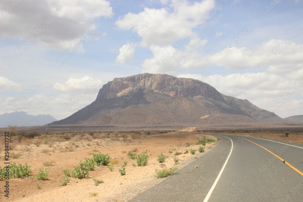 African dry hot savanna with dried plants, asphalt road and mountains in the background