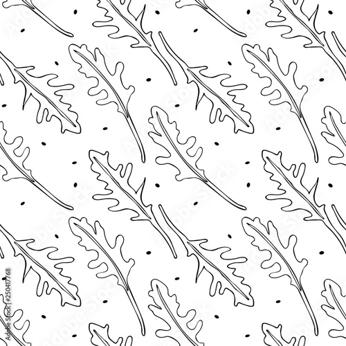 Seamless pattern with hand drawn drawing of ruccola.  linear art of arugula. Poster with healthy vegetarian food. Art can be used for cafe restaurant menu design.