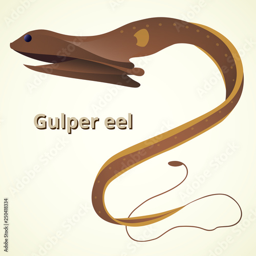 Gulper eel