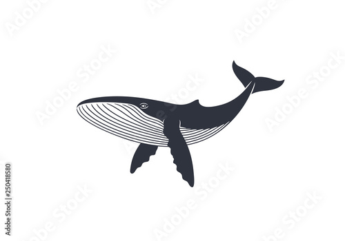 Whale logo. Isolated whale on white background