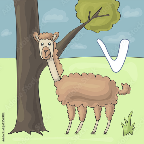 Illustrated alphabet letter V and Vicuna. ABC book image vector cartoon. Funny vicuna stands near the tree in the zoo. Children illustrated alphabet character.