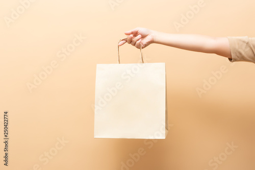 Hand holding a paper bag isolated on background