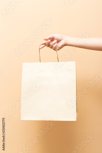 Hand holding a paper bag isolated on background