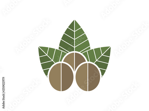 Walnut and leaves vector icon illustration