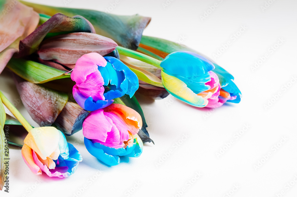 Bunch of unusual multi colored tulips