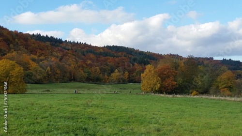 Herbst in der Eifel