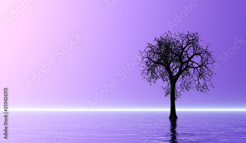 Tree silhouette on water