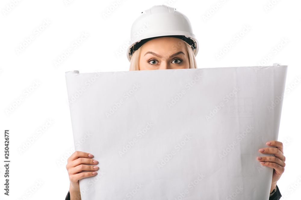beautiful female architect in helmet holding blueprint, isolated on white beautiful female architect in helmet holding blueprint, isolated on white