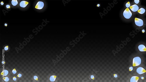 Vector Realistic Blue Petals Falling on Transparent Background.  Spring Romantic Flowers Illustration. Flying Petals. Sakura Spa Design. Blossom Confetti.