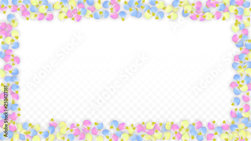 Vector Realistic Colorful Petals Falling on Transparent Background. Spring Romantic Flowers Illustration. Flying Petals. Sakura Spa Design. Blossom Confetti. Design Elements for Wedding Decoration.