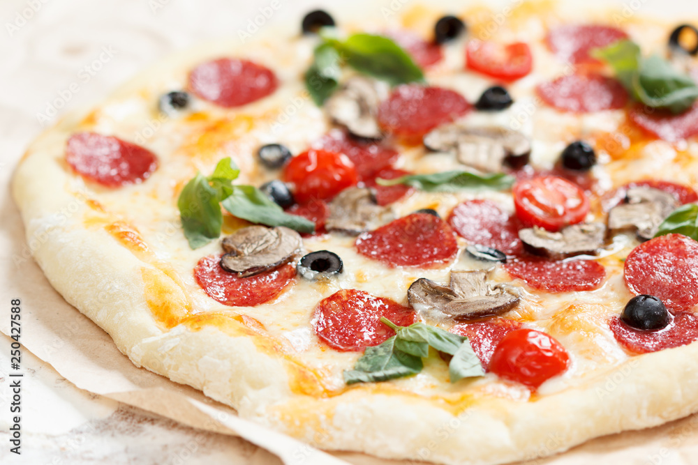 Homemade pizza with salami, mushrooms, tomatoes, mozzarella and basil Homemade pizza with salami, mushrooms, tomatoes, mozzarella and basil