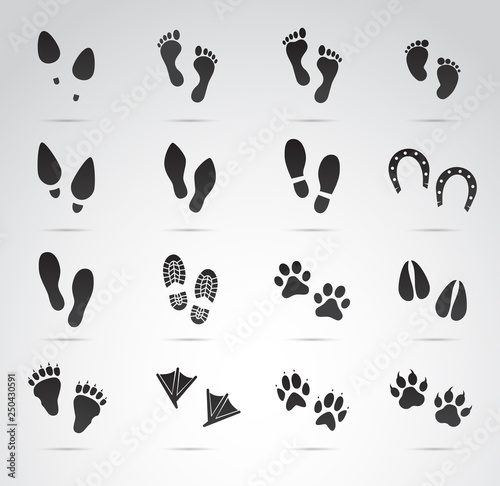 Footprint collection (human and animal). Vector art.