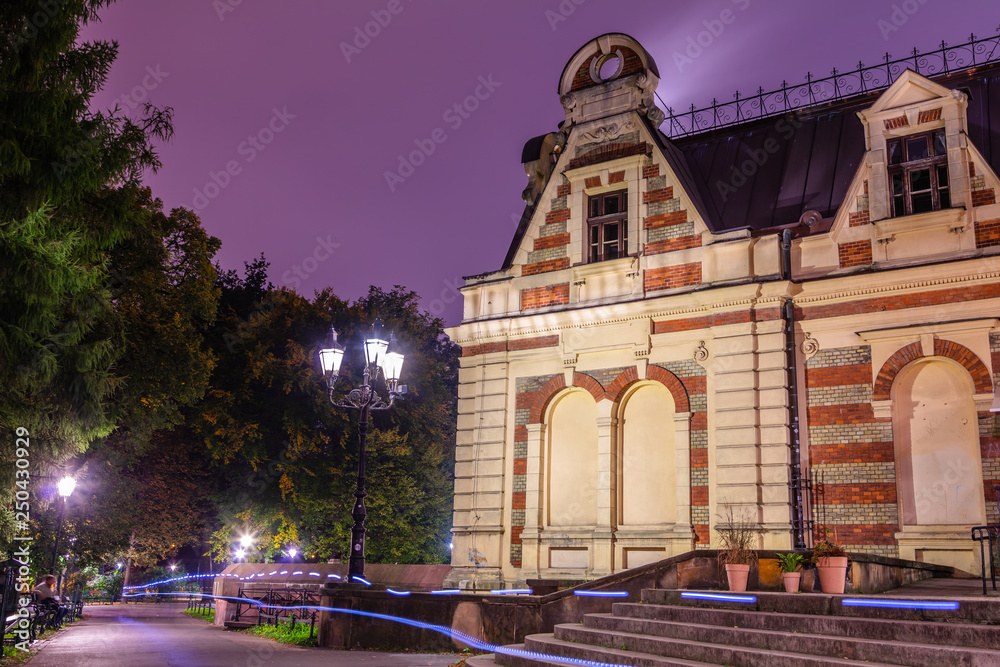 Fototapeta premium Ancient building in Krakow at night